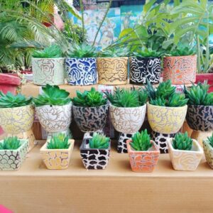 Buy Ceramic Pots - Set of 7 Pots